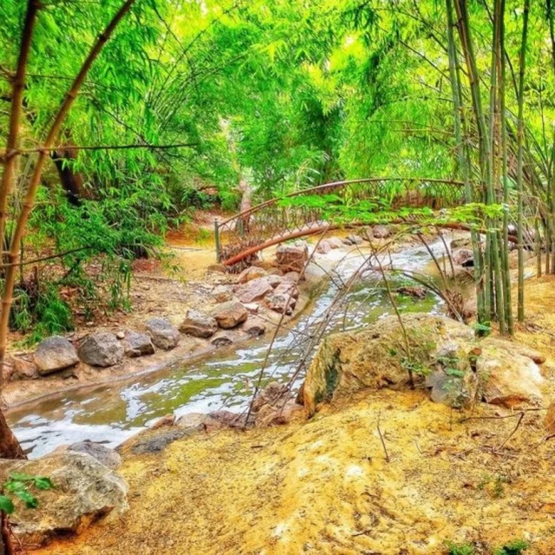 kulish smriti van jaipur